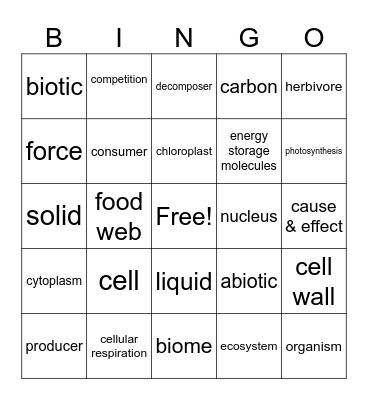 Science Bingo Card