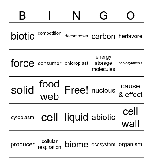 Science Bingo Card