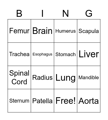 B-O-D-Y Bingo! 10/25/24 Bingo Card