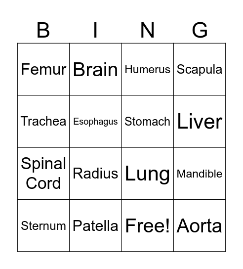 B-O-D-Y Bingo! 10/25/24 Bingo Card