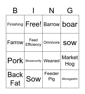PIG VOCABULARY Bingo Card