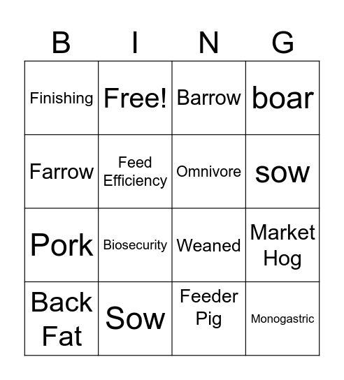 PIG VOCABULARY Bingo Card