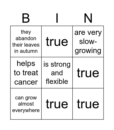True or False Bingo Card