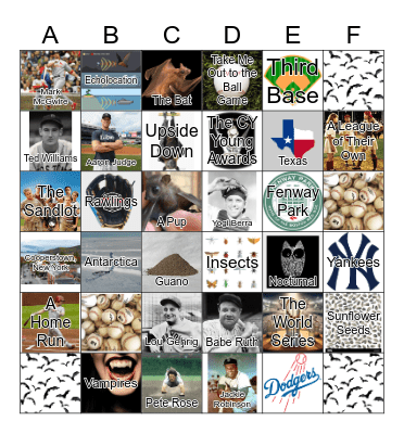 Batty Bats Trivia Bingo Card