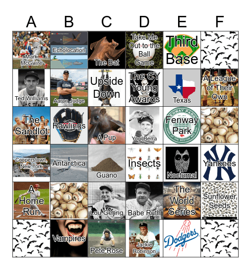 Batty Bats Trivia Bingo Card