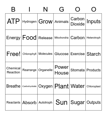 Photosynthesis & Cellular Respiration Bingo Card
