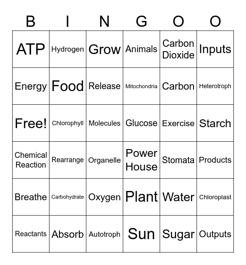 Photosynthesis & Cellular Respiration Bingo Card