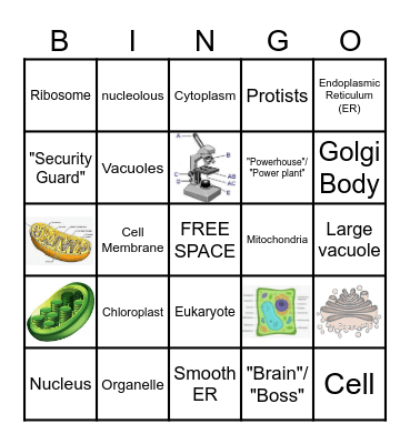 Cell Structures LT Bingo Card