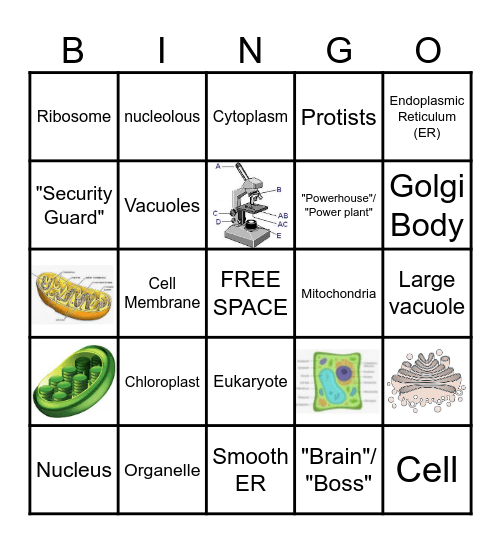 Cell Structures LT Bingo Card