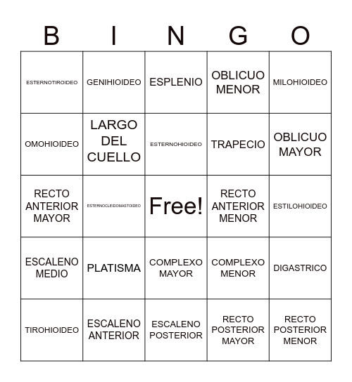 MUSCULOS DEL CUELLO Bingo Card