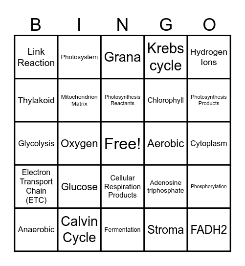 CELLULAR ENERGY Bingo Card