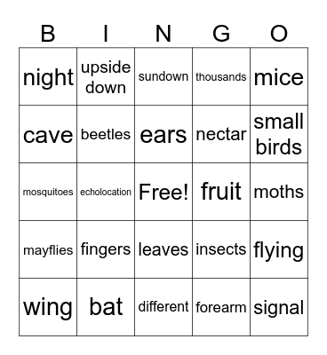 Bat Bingo Card