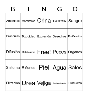 Sistema excretor en mamíferos y peces Bingo Card