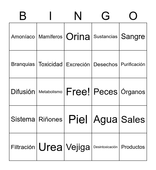 Sistema excretor en mamíferos y peces Bingo Card