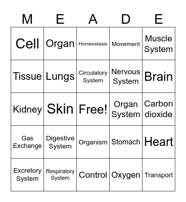 Science Bingo Card