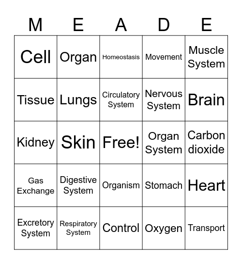 Science Bingo Card