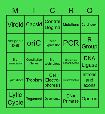 Unit 3 Review! Bingo Card