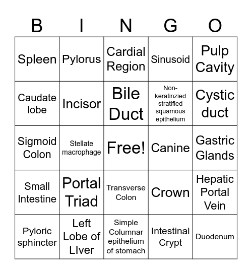 Practical 3 Bingo Card