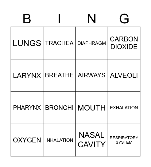 RESPIRATORY SYSTEM Bingo Card