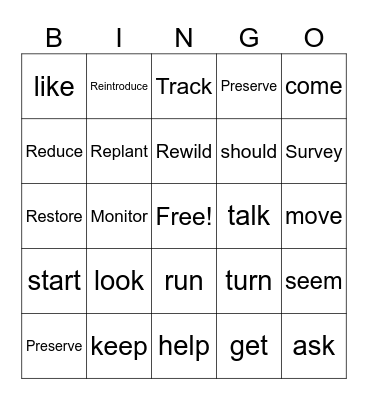 Conservation verbs Bingo Card