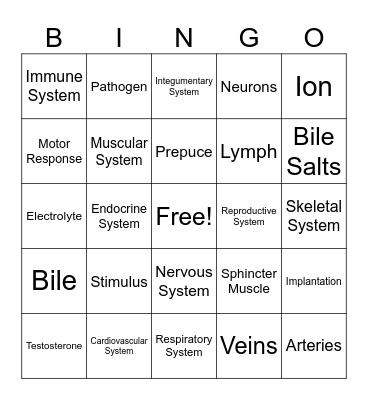 Canine & Feline Anatomy Bingo Card