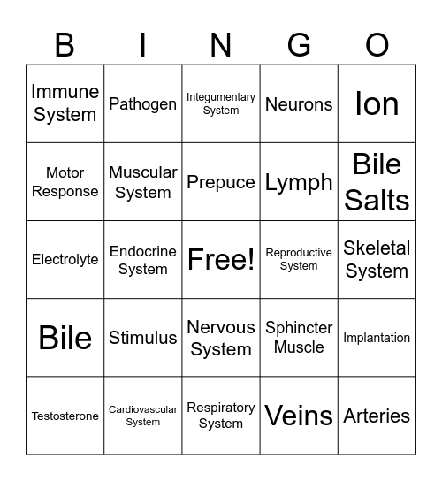 Canine & Feline Anatomy Bingo Card