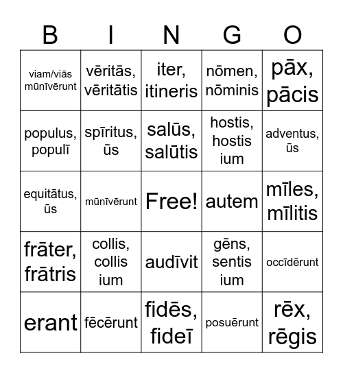 Latin Vocab Lesson 3-6 Bingo Card