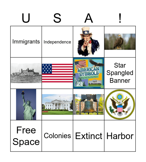 USA Bingo Card