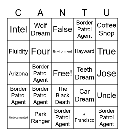 Line Becomes A River Bingo Card