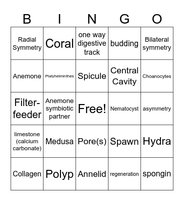 Invertebrate Bingo Card