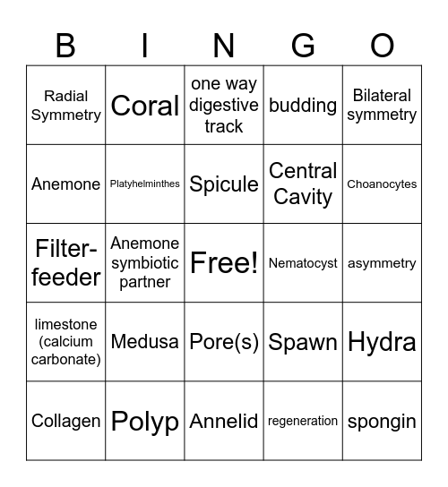 Invertebrate Bingo Card