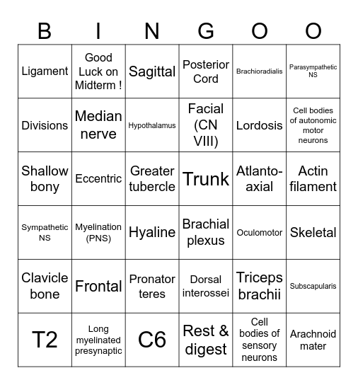 Midtern Review Bingo Card