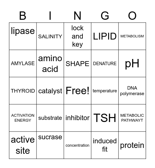 ENZYMES Bingo Card