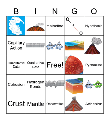 Marine Science Bingo Card