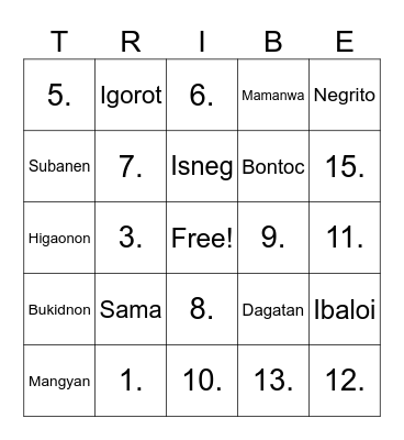 INDIGENOUS PEOPLE Bingo Card