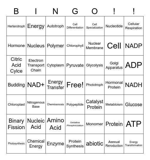 Vocabulary BINGO! Bingo Card