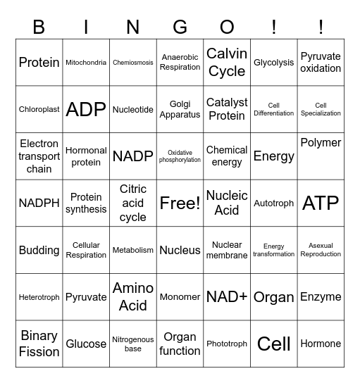 Vocabulary BINGO! Bingo Card