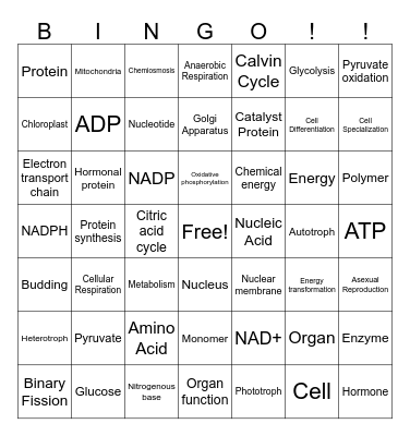 Vocabulary BINGO!! Bingo Card
