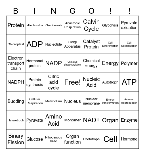 Vocabulary BINGO!! Bingo Card