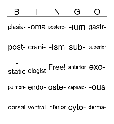 Prefixes, Suffixes and Medical Terms Bingo! Bingo Card
