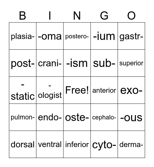 Prefixes, Suffixes and Medical Terms Bingo! Bingo Card