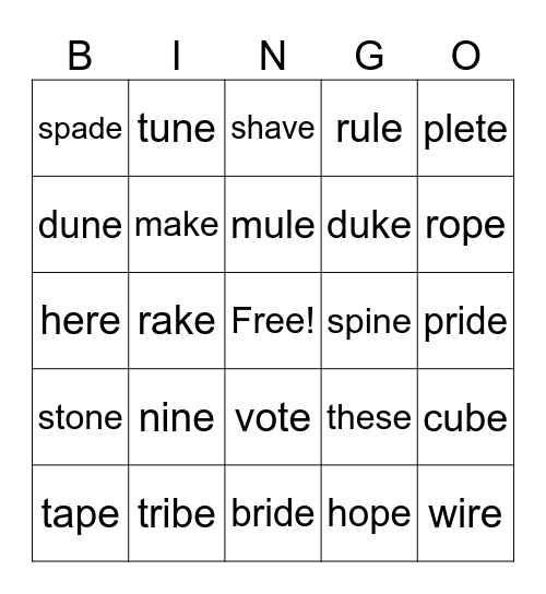 Silent E Review Bingo Card