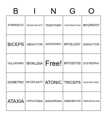 MUSCULAR SYSTEM Bingo Card