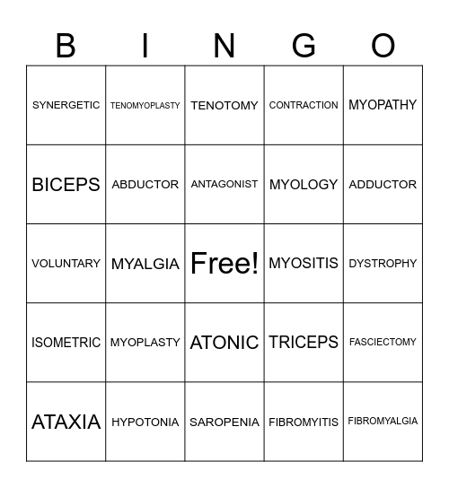 MUSCULAR SYSTEM Bingo Card