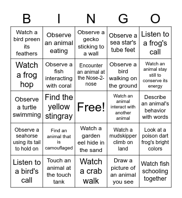 Animal Observations Bingo Card