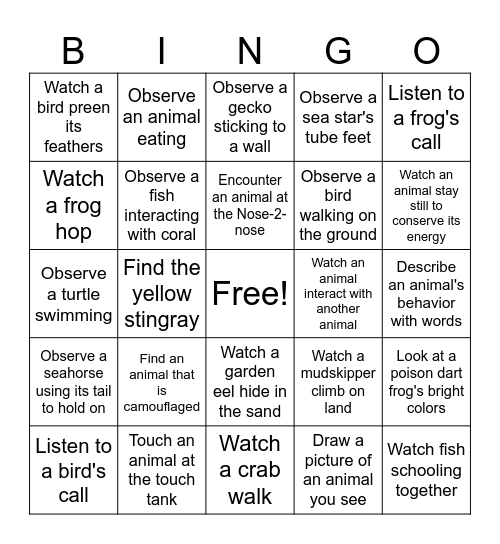 Animal Observations Bingo Card