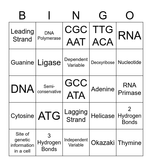 DNA Structure and Replication Bingo Card