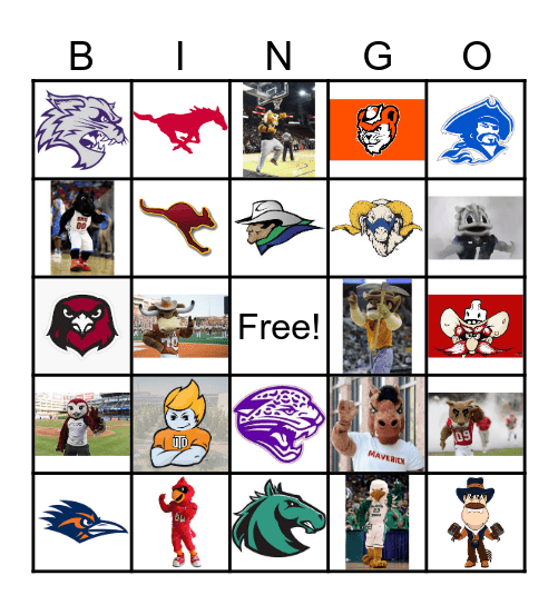 Texas College Bingo Card