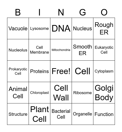 Cell Organelles Bingo Card Bingo Card