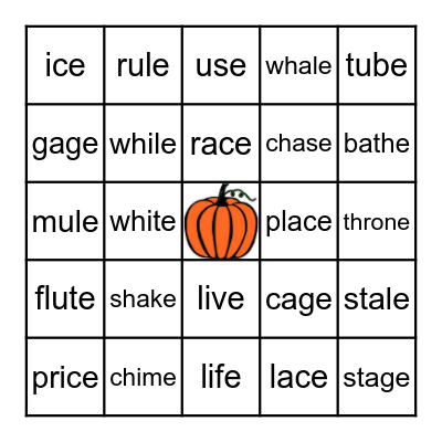 Silent e Bingo Card